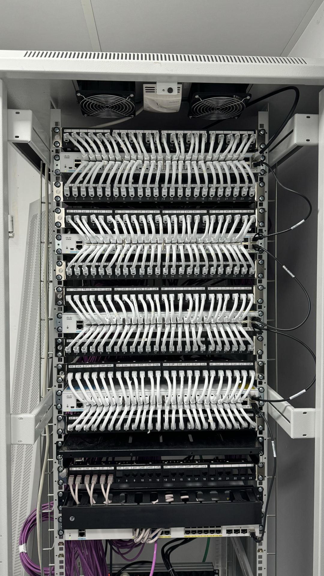 Rack con patchpanel Cat6 y cableado estructurado certificado